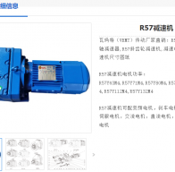 R57DRE80M4 BE1/HF/TH/IS減速電機(jī)型號解析