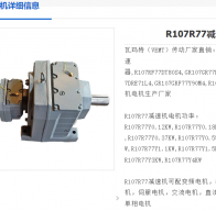 R107R77DV112M4/BWG/HF/VS-380/4.0KW/7.3RPM減速電機型號解析