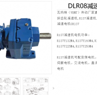 DLR08-1/89.36-DMP160L-4-M1-R-15KW減速電機(jī)型號(hào)解析