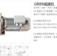 GR89-YE3/4-17.5-M1減速電機(jī)型號解析