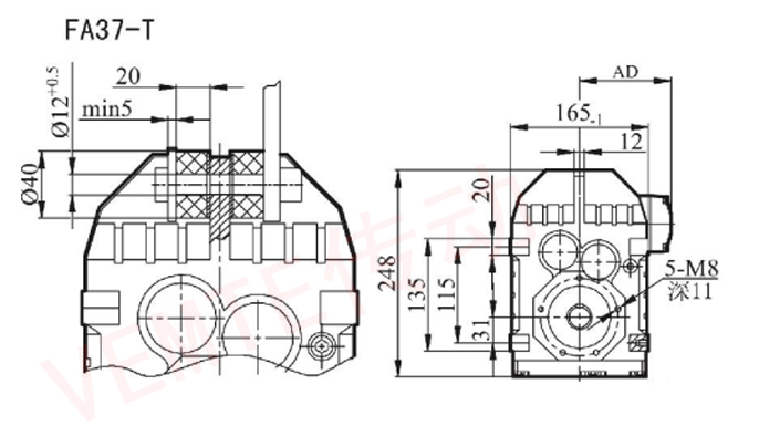 FA37T.jpg